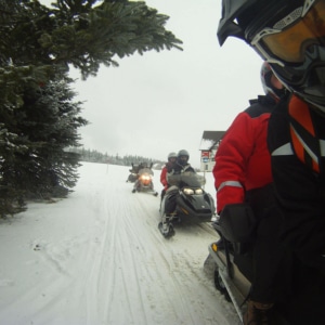 Motorschlittensafari