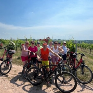 Wein- Rad -Tour