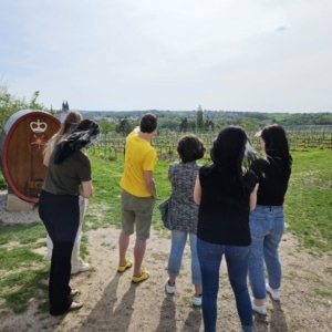 Wein-Bus-Tour