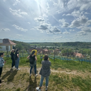 Wein-Bus-Tour
